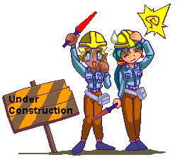 Silver Star Construction